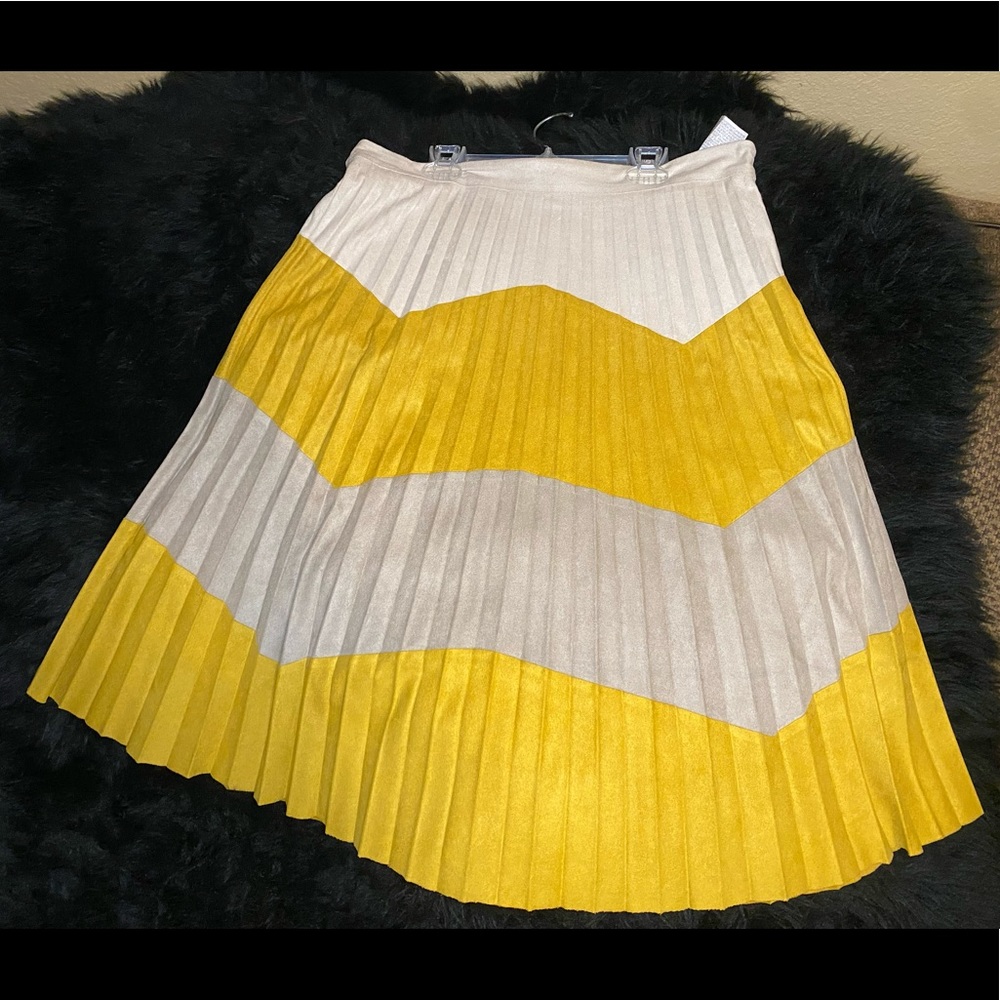 Pleated Zara Skirt